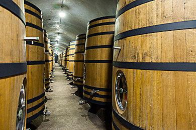 《神领编年史》世界观介绍影片 9月22日正式发售